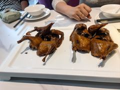 -琬苑鸽庄·川粤融合菜(解放碑总店)