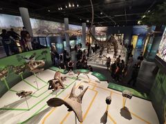 -国家自然博物馆