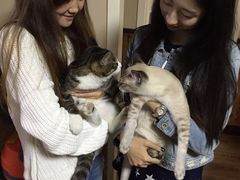 -不止轰趴桌游麻将台球(立水桥店)