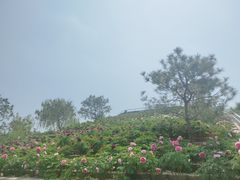 -太阳宫公园