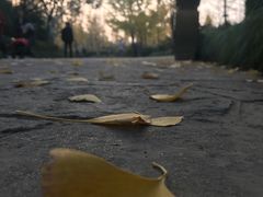 -黄兴公园-停车场