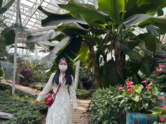 -石家庄市植物园