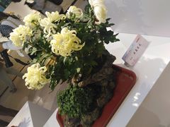 -汇龙潭