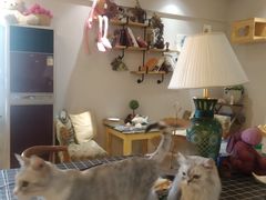 -万小咖.猫咖(中山路天虹店)