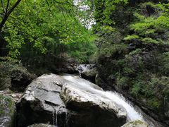 -牛背梁国家森林公园