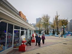 -海合安成都极地海洋公园