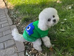 -乐琪宠物(青塔西路店)