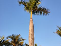 -滨海公园