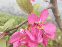 -成都东站汽车客运站