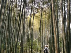 -石塘人家