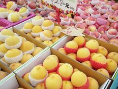 -全而廉(许昌路店)