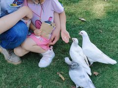 -南通洲际绿博园