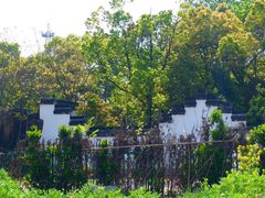 -上海佘山国家森林公园天马山园