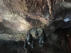 -新加坡水上探险乐园