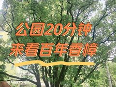 -徐家汇源景区-衡山公园