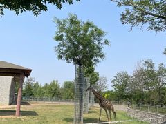 -石家庄市动物园