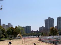 -黄兴公园