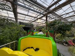 -南宫五洲植物乐园