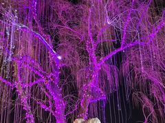 -Carhartt WIP(北京三里屯太古里店)