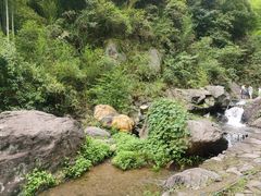 -莫干山风景区