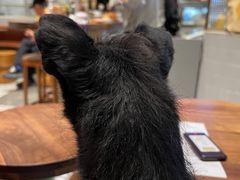 -Luneurs(幸福里店)