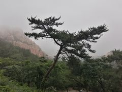 -崂山仰口游览区