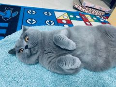 -KKV(深圳宏发大仟里店)