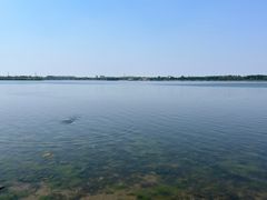 -丁香湖公园