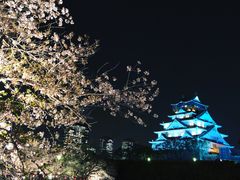 -蟹道乐(網元別館店)