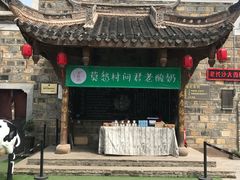 -莫愁村问君老酸奶