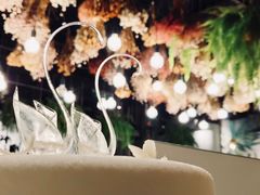 -BLACKSWAN黑天鹅(环球店)