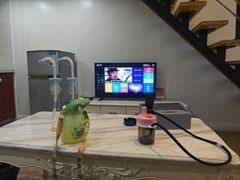 -天悦·国际Apartment(广州南站店)