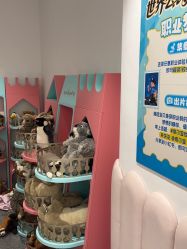 -奈尔宝·儿童乐园·亲子餐厅(前滩店)