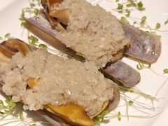 -桂满陇·海市蜃楼·黑金(国金店)