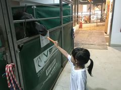 -李振强马术运动推广中心(南城店)