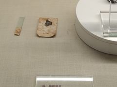 -广东中医药博物馆