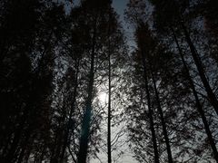 -白鹭湾湿地公园