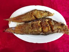 -蛇口康乐快餐鱼仔档(翠苑小区店)