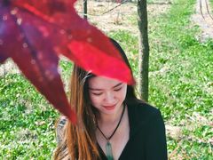 -黄海国家森林公园