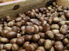 -阿男野栗王(金门路店)