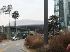 -东大门市场