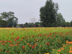 -汉长安城未央宫国家考古遗址公园
