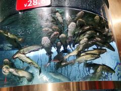 -蜀滋香鲜鱼美蛙火锅(339店)