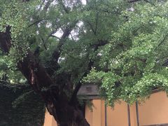 -无锡惠山寺