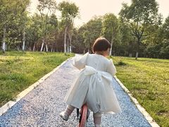 -艾溪湖湿地公园