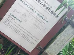 -铁山坪森林公园