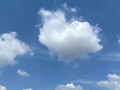 -九里河湿地公园