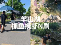 -羊山湖公园