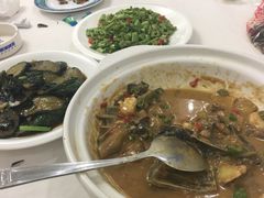 -良友水鱼城