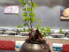 -香丰阁·烤鸭·川湘菜(清河店)